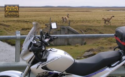 Pro sceen Parabrisas Universal Enduro Dakar - Imagen 3