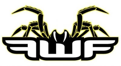 FWF filtro aire Proline - Imagen 3